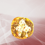 Zaatar with Cheese