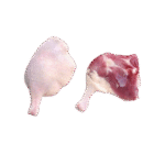 Organic Duck Leg